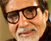 Save Bijlee, Big B appeals to animal lovers 